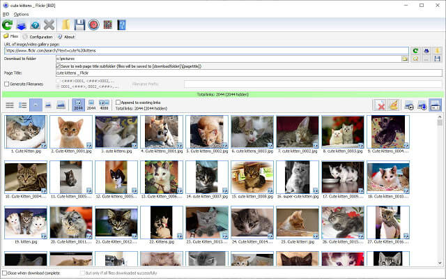 Bulk Image Downloader 5.47 Patch